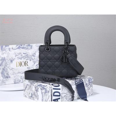 Dior Bags AAA 023